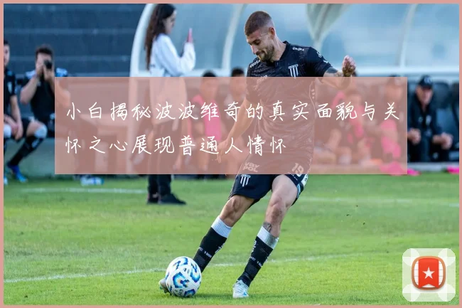 小白揭秘波波维奇的真实面貌与关怀之心展现普通人情怀